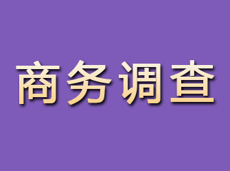 建邺商务调查